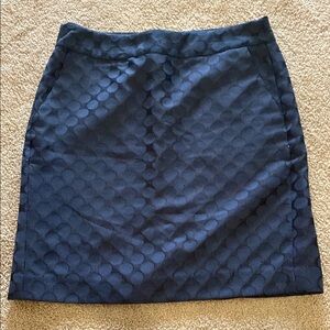 Black Banana Republic Pencil Skirt